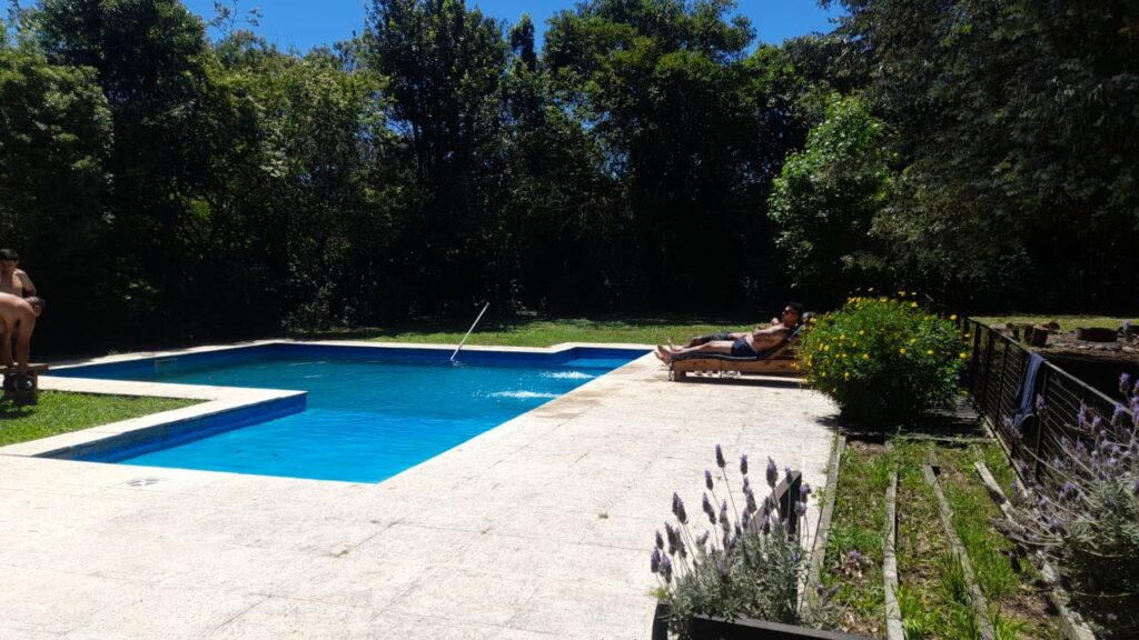 WhatsApp Image 2025-11-10 at 09.36.31